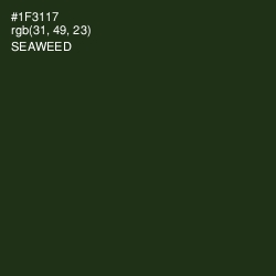 #1F3117 - Seaweed Color Image