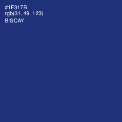 #1F317B - Biscay Color Image