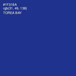 #1F318A - Torea Bay Color Image