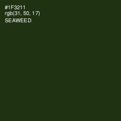 #1F3211 - Seaweed Color Image