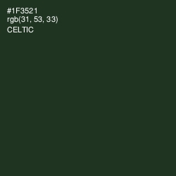 #1F3521 - Celtic Color Image