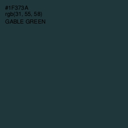 #1F373A - Gable Green Color Image