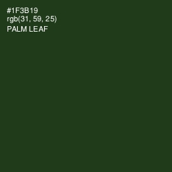 #1F3B19 - Palm Leaf Color Image