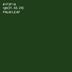 #1F3F1A - Palm Leaf Color Image