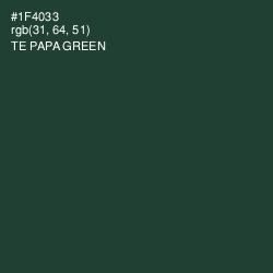 #1F4033 - Te Papa Green Color Image