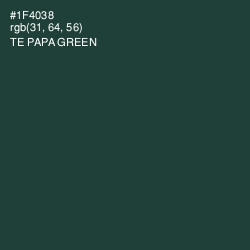 #1F4038 - Te Papa Green Color Image