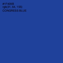 #1F409B - Congress Blue Color Image