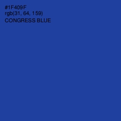 #1F409F - Congress Blue Color Image