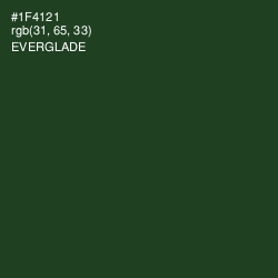 #1F4121 - Everglade Color Image
