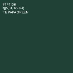 #1F4136 - Te Papa Green Color Image