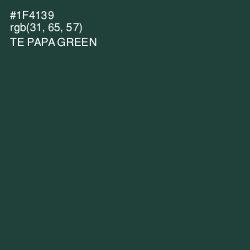 #1F4139 - Te Papa Green Color Image