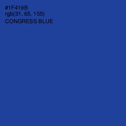 #1F419B - Congress Blue Color Image