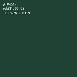 #1F4234 - Te Papa Green Color Image