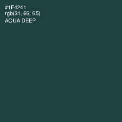 #1F4241 - Aqua Deep Color Image