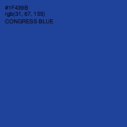 #1F439B - Congress Blue Color Image