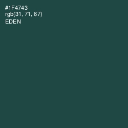 #1F4743 - Eden Color Image