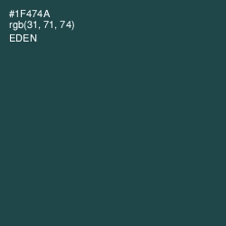 #1F474A - Eden Color Image