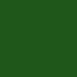 #1F571A - Parsley Color Image