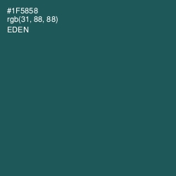 #1F5858 - Eden Color Image