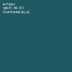 #1F5961 - Chathams Blue Color Image