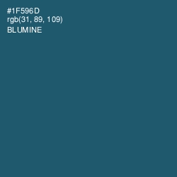 #1F596D - Blumine Color Image