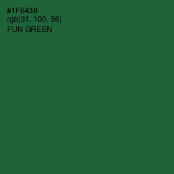 #1F6438 - Fun Green Color Image