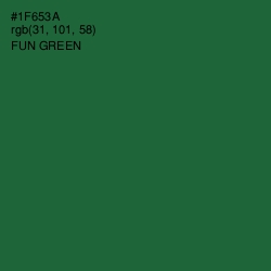 #1F653A - Fun Green Color Image