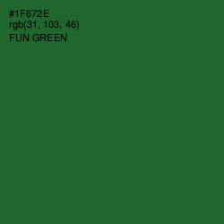 #1F672E - Fun Green Color Image