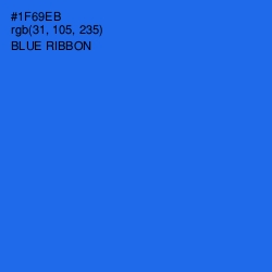 #1F69EB - Blue Ribbon Color Image