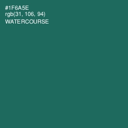 #1F6A5E - Watercourse Color Image