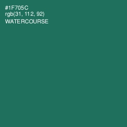 #1F705C - Watercourse Color Image