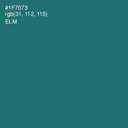 #1F7073 - Elm Color Image