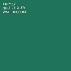 #1F7157 - Watercourse Color Image