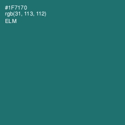 #1F7170 - Elm Color Image