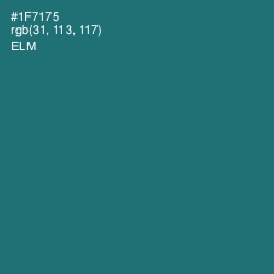 #1F7175 - Elm Color Image