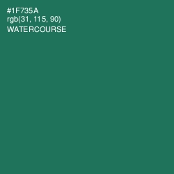 #1F735A - Watercourse Color Image