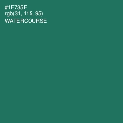 #1F735F - Watercourse Color Image
