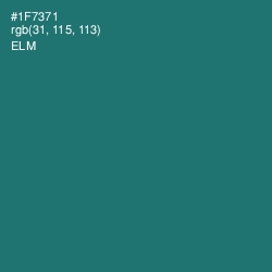 #1F7371 - Elm Color Image