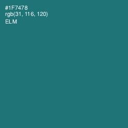 #1F7478 - Elm Color Image