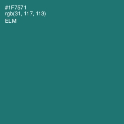 #1F7571 - Elm Color Image