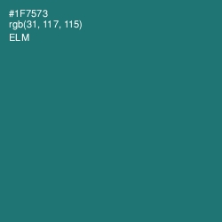 #1F7573 - Elm Color Image