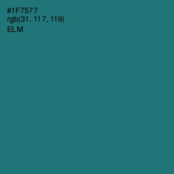 #1F7577 - Elm Color Image