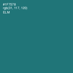 #1F7578 - Elm Color Image