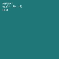 #1F7877 - Elm Color Image