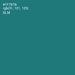 #1F797B - Elm Color Image