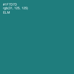 #1F7D7D - Elm Color Image