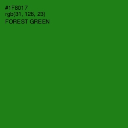 #1F8017 - Forest Green Color Image