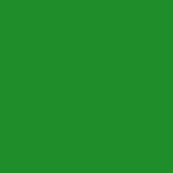 #1F8D2A - Forest Green Color Image