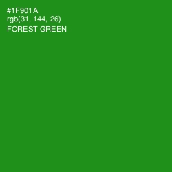 #1F901A - Forest Green Color Image