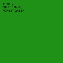 #1F9117 - Forest Green Color Image